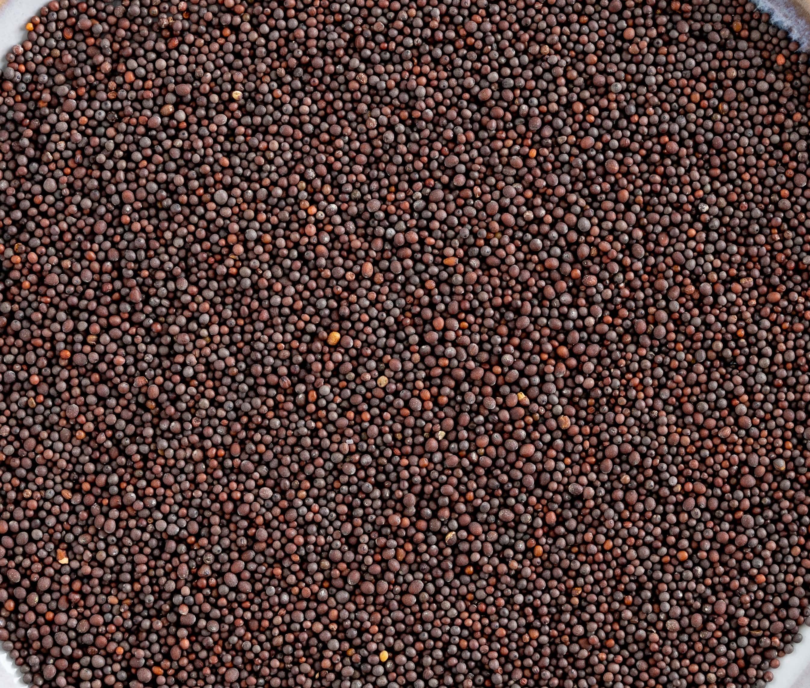 Black Mustard Seeds